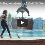 В «Акватории» сняли пародию на знаменитый клип группы «Ленинград» про лабутены с участием дельфинов